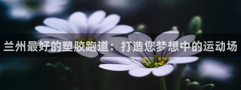 谈球吧App：兰州最好的塑胶跑道：打造您梦想中的运动场