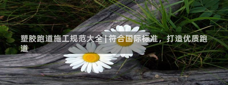 谈球吧体育app下载：塑胶跑道施工规范大全 | 符合国际标准，打造优质跑
道