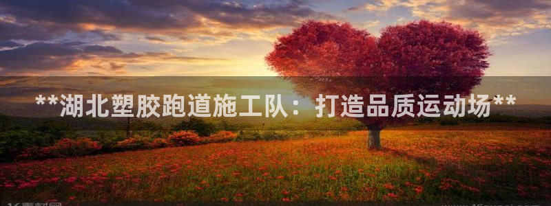 谈球吧官网app下载：**湖北塑胶跑道施工队：打造品质运动场**