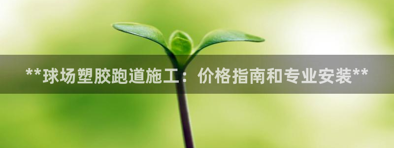 谈球吧最新APP下载：**球场塑胶跑道施工：价格指南和专业安装**