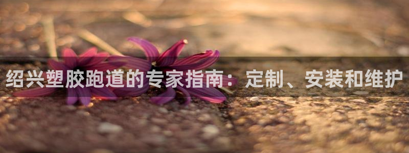 谈球吧最新APP下载：绍兴塑胶跑道的专家指南：定制、安装和维护