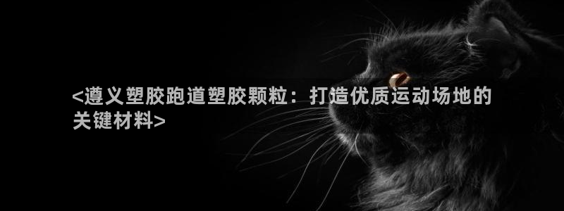 谈球吧app官网：<遵义塑胶跑道塑胶颗粒：打造优质运动场地的
关键材料>