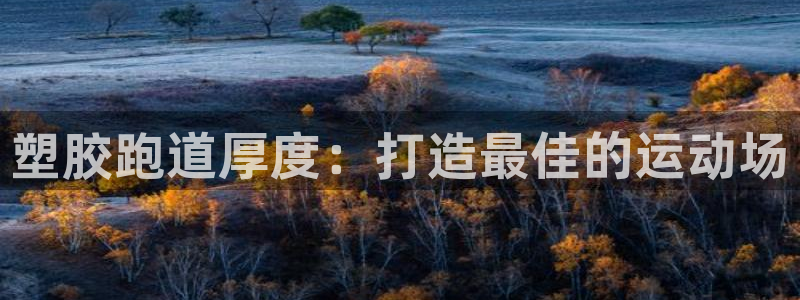 谈球吧体育app下载官网安卓：塑胶跑道厚度：打造最佳