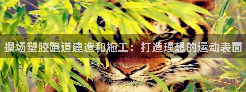 谈球吧体育app下载足球比赛视频：操场塑胶跑道建造和施工：打造理想的运动表面