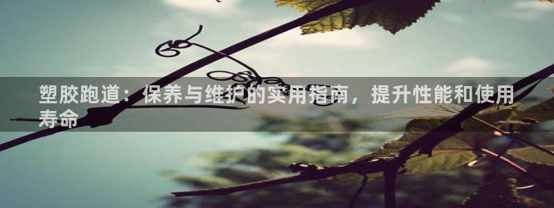 谈球吧平台正规吗：塑胶跑道：保养与维护的实用指南，提升性能和使用
寿命