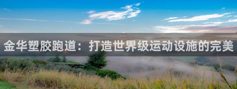 谈球吧在线：金华塑胶跑道：打造世界级运动设施的完美