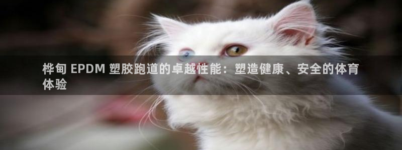 谈球吧体育app下载足球：桦甸 EPDM 塑胶跑道的卓越性能：塑造健康、安全的体育
体验