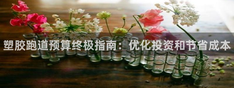 谈球吧网页版在线入口：塑胶跑道预算终极指南：优化投资和节省成本