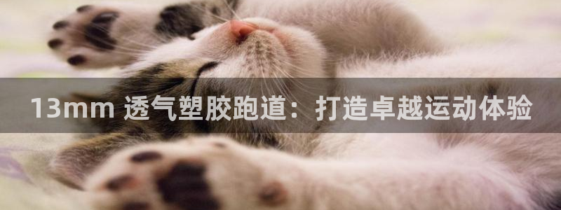 谈球吧app体育下载官网：13mm 透气塑胶跑道：打