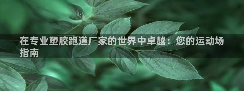 谈球吧网页登陆：在专业塑胶跑道厂家的世界中卓越：您的运动场
指南