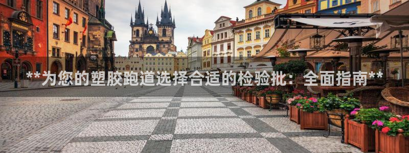 谈球吧是黑台子吗知乎：**为您的塑胶跑道选择合适的检验批：全面指南**