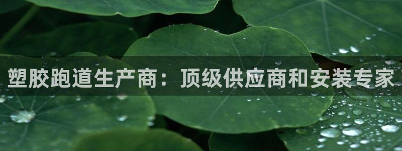 谈球吧体育app登陆入口：塑胶跑道生产商：顶级供应商和安装专家