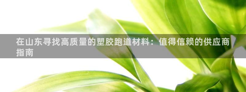 谈球吧体育app下载中心：在山东寻找高质量的塑胶跑道材料：值得信赖的供应商
指南