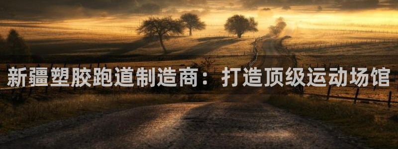 谈球吧官网在线入口免费观看视频网站：新疆塑胶跑道制造商：打造顶级运动场馆