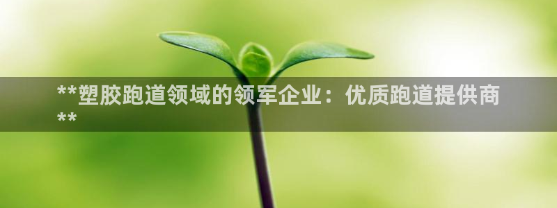 谈球吧属于哪个：**塑胶跑道领域的领军企业：优质跑道