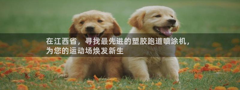 谈球吧官网登录：在江西省，寻找最先进的塑胶跑道喷涂机