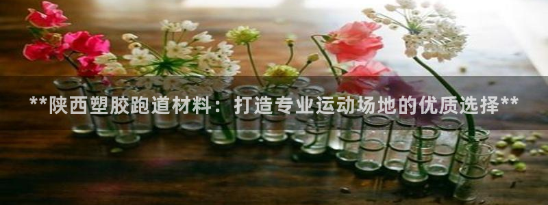 谈球吧在线：**陕西塑胶跑道材料：打造专业运动场地的优质选择**