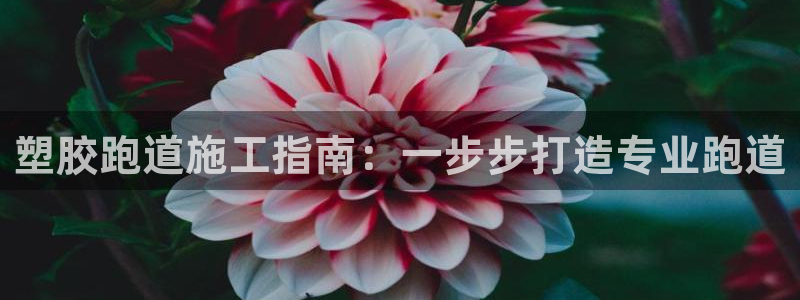 谈球吧咋样黑钱：塑胶跑道施工指南：一步步打造专业跑道