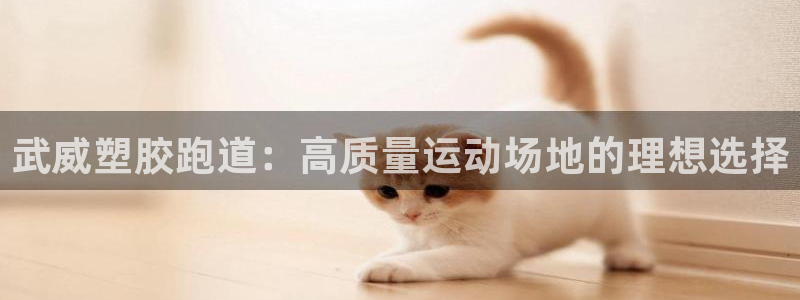 谈球吧app赛事分析在哪里看到：武威塑胶跑道：高质量运动场地的理想选择