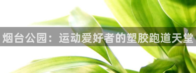谈球吧app官网下载：烟台公园：运动爱好者的塑胶跑道