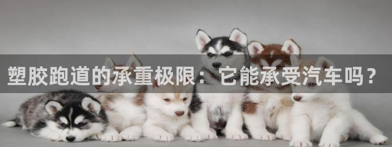谈球吧中国官方网站：塑胶跑道的承重极限：它能承受汽车吗？