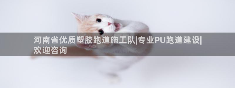 谈球吧体育首页综合登陆：河南省优质塑胶跑道施工队|专业PU跑道建设|
欢迎咨询