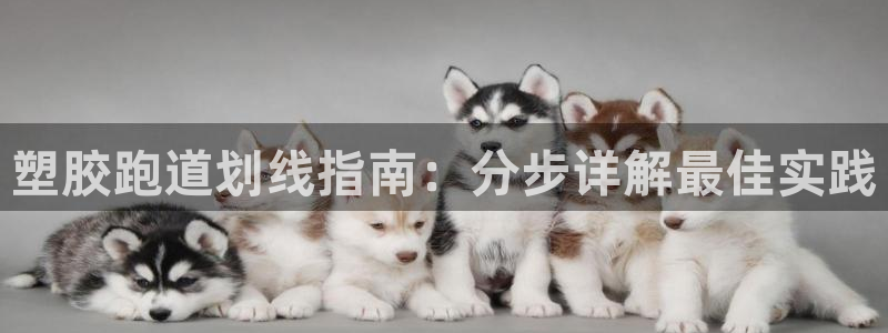 谈球吧是正规平台吗安全吗：塑胶跑道划线指南：分步详解