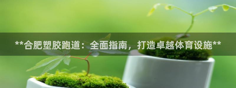 谈球吧平台正规吗可靠吗安全吗：**合肥塑胶跑道：全面