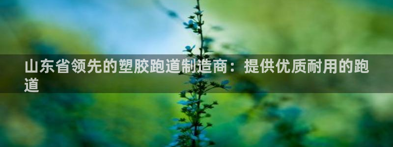 谈球吧官网app下载：山东省领先的塑胶跑道制造商：提供优质耐用的跑
道