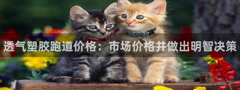 谈球吧体育app官网下载安卓：透气塑胶跑道价格：市场价格并做出明智决策