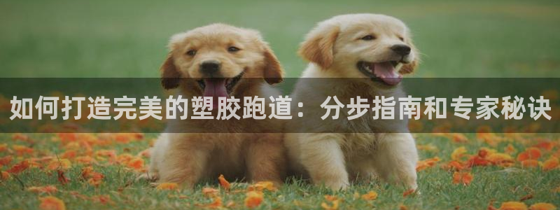 谈球吧app赛事分析报告怎么做：如何打造完美的塑胶跑