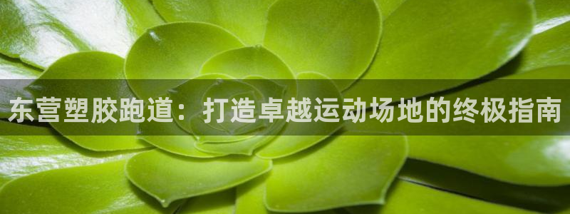 谈球吧体育app下载足球直播：东营塑胶跑道：打造卓越
