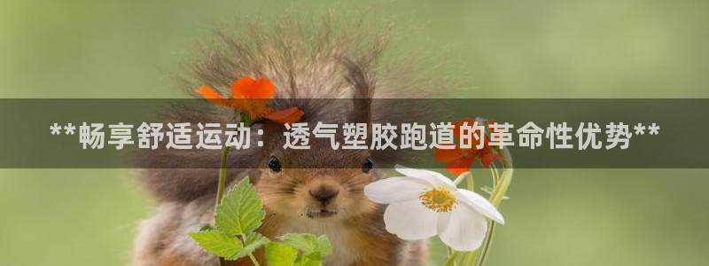 谈球吧平台：**畅享舒适运动：透气塑胶跑道的革命性优