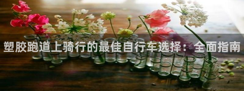 谈球吧是黑台子吗知乎：塑胶跑道上骑行的最佳自行车选择：全面指南