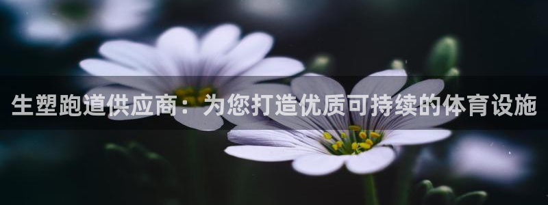 谈球吧体育app下载中心官方