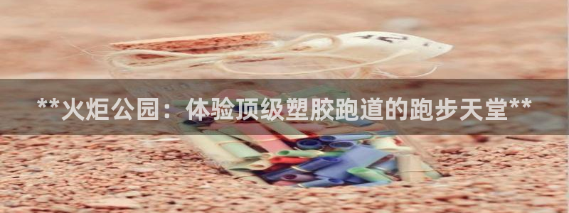 谈球吧可靠吗：**火炬公园：体验顶级塑胶跑道的跑步天堂**