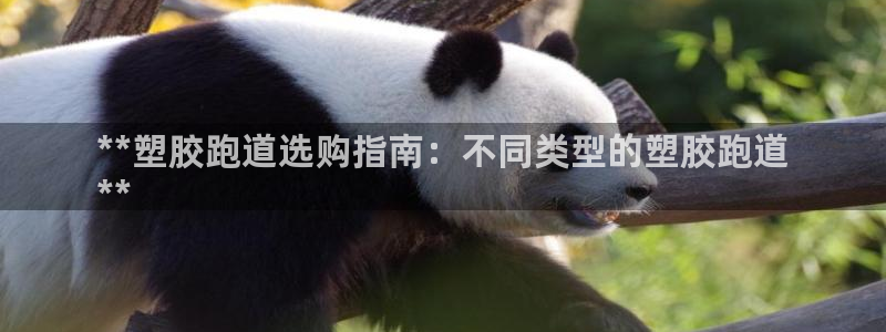 谈球吧体育app下载中心官网手机版