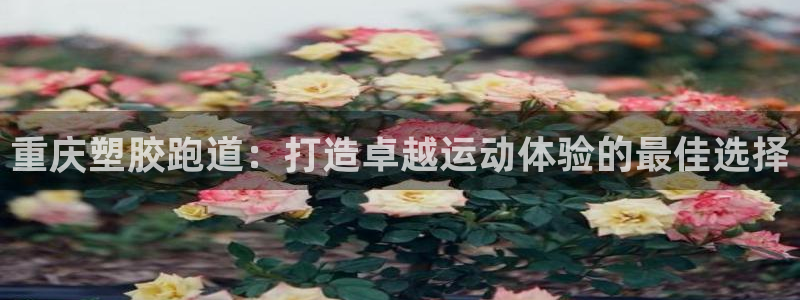 谈球吧红包码：重庆塑胶跑道：打造卓越运动体验的最佳选择