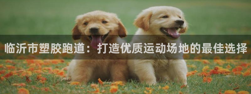 谈球吧官网app：临沂市塑胶跑道：打造优质运动场地的