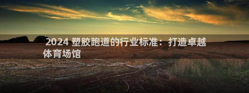 谈球吧官网在线入口手机版： 2024 塑胶跑道的行业标准：打