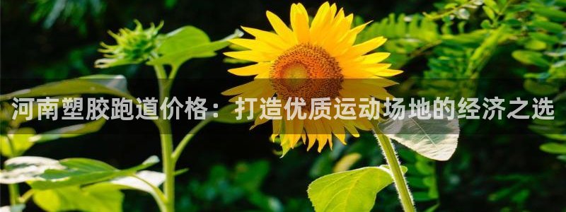 谈球吧网页版在线入口：河南塑胶跑道价格：打造优质运动