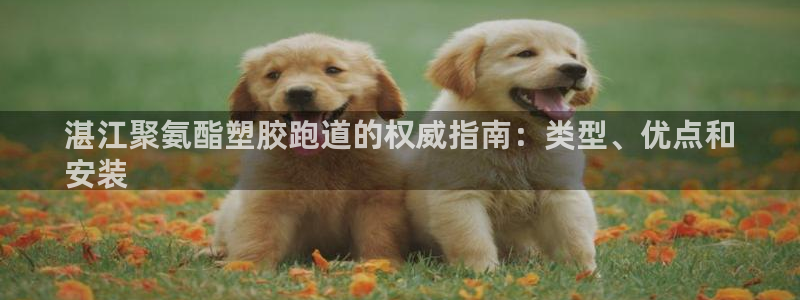 谈球吧是正规平台吗知乎：湛江聚氨酯塑胶跑道的权威指南