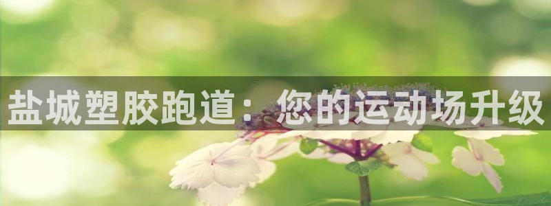 谈球吧体育app下载中心官网：盐城塑胶跑道：您的运动