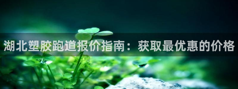 谈球吧体育app下载官网苹果版：湖北塑胶跑道报价指南