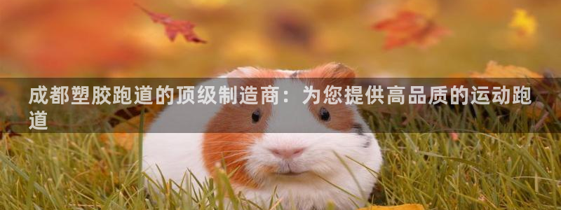 谈球吧娱乐app下载官网苹果版：成都塑胶跑道的顶级制