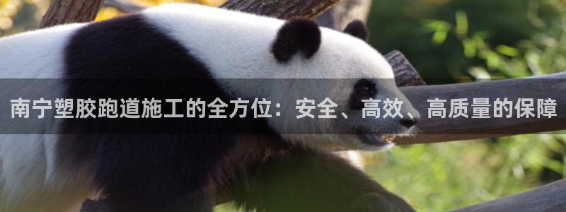 谈球吧娱乐app下载官网苹果手机