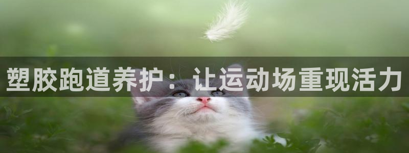 谈球吧是黑台子吗是真的吗