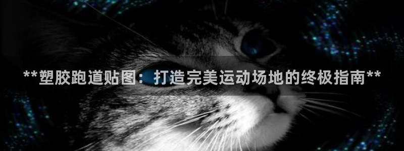 谈球吧平台正规吗可靠吗安全吗：**塑胶跑道贴图：打造