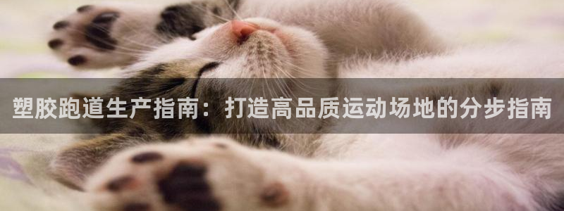 谈球吧体育app下载足球：塑胶跑道生产指南：打造高品