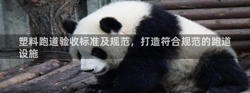 谈球吧网页版：塑料跑道验收标准及规范，打造符合规范的跑道
设